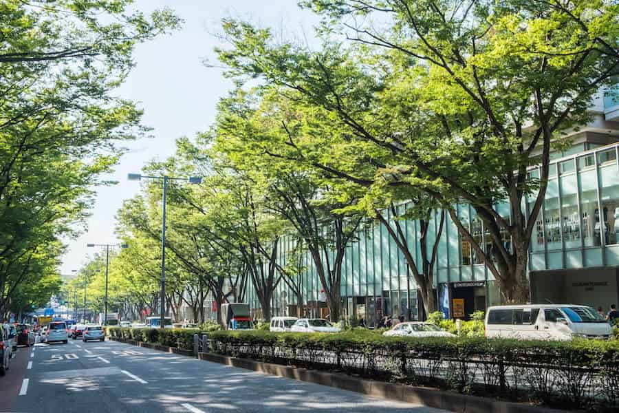 Omotesando high end shopping